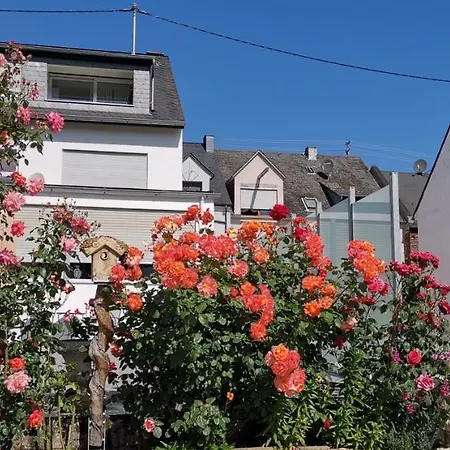 Silvia Huels * Kröv