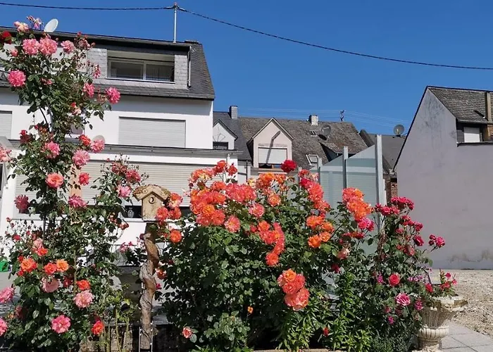 Silvia Huels * Kröv